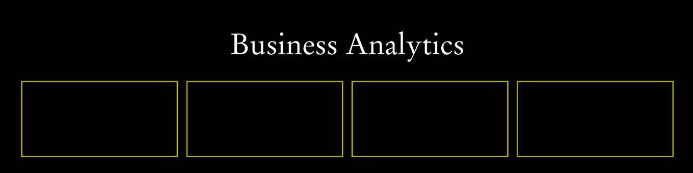 Business Analytics section profile