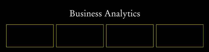Business Analytics section profile